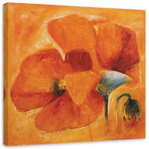 Wandbilder Blume Mohnblumen Orange 30 x 30 cm