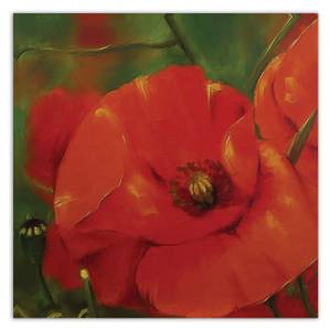 Wandbild Rote Mohnblumen Natur Pflanzen 30 x 30 cm