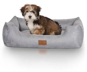 Hundebett Dreamline Grau - 63 x 23 x 85 cm