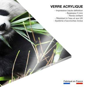 Tableau regard de panda 80 x 120 cm - Verre