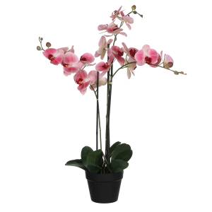 Fleur artificielle Phalaenopsis Rose foncé - Diamètre : 51 cm