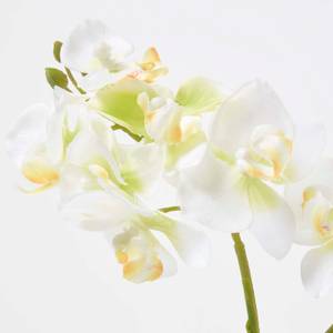 Künstliche weiß-grüne Phalaenopsis Weiß - Kunststoff - 19 x 32 x 32 cm