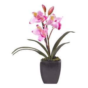 Kunstblumen Cymbidium Orchidee Pink - Kunststoff - 16 x 38 x 38 cm