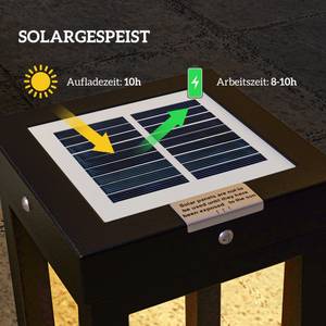 Solar Gartenlampe B30-045V00BK Schwarz - Metall - 13 x 50 x 13 cm