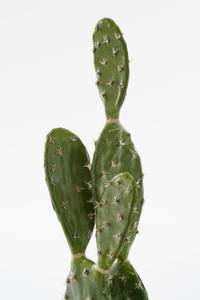 Kunstpflanze Kaktus kaufen