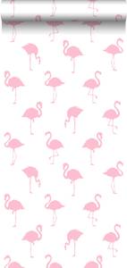 Tapete Flamingos 7236 Flamingorosa