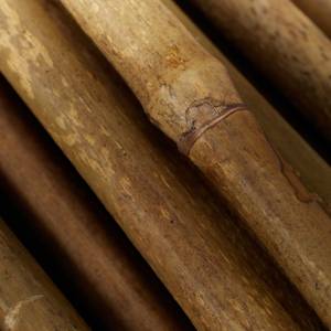 50x Bambusstäbe 75 cm Braun - Bambus - 1 x 75 x 1 cm