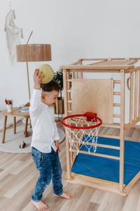 Basketballkorb Braun - Rot - Weiß - Holzwerkstoff - Metall - 85 x 1 x 42 cm