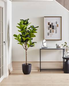 Plante artificielle FIG TREE Noir - Vert - Matière plastique - 80 x 162 x 80 cm