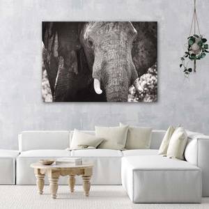 Wandbild Elefant Afrika Schwarz und Weiß 120 x 80 cm