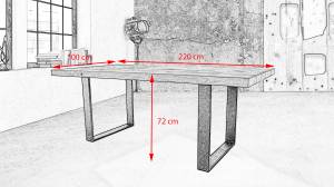 Esstisch PORTU Braun - Massivholz - Holzart/Dekor - 100 x 76 x 220 cm