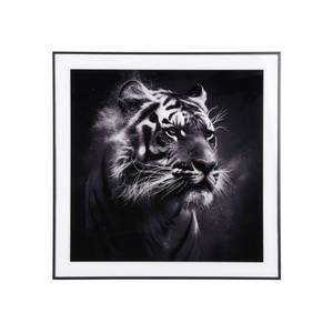 Cadre et photo d'art noir et blanc Tigre Noir - Verre - 2 x 50 x 50 cm