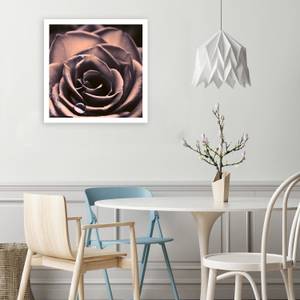 Wandbild Rose Rosa Blumen Pflanzen 30 x 30 cm