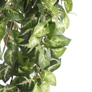 Künstliche Hängepflanze Fittonia Grün - Kunststoff - 30 x 15 x 80 cm