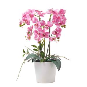 Künstliche pinke Phalaenopsis-Orchidee Pink - Kunststoff - 25 x 54 x 54 cm
