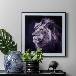 Cadre et photo d'art noir et blanc Lion Noir - Verre - 2 x 50 x 50 cm