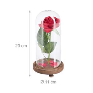 Ewige Rose im Glas Braun - Grün - Rot - Holzwerkstoff - Glas - Kunststoff - 11 x 23 x 11 cm
