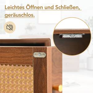 Sideboard Kommode Coeus Ⅲ Braun - Holzwerkstoff - Metall - Polyrattan - 40 x 76 x 130 cm