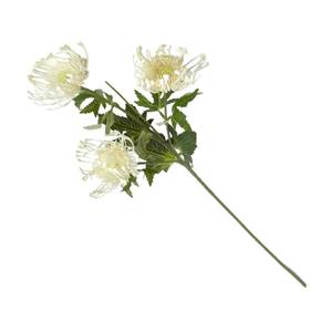 Künstlicher Dekozweig Protea-Blume Beige - Kunststoff - 20 x 65 x 65 cm