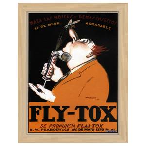 Bilderrahmen Poster Insetticida Fly Tox Eiche