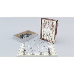 Puzzle Das Skelettsystem 1000 Teile Papier - 26 x 6 x 36 cm