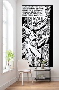 Fototapete Spider-Man 610724 Schwarz - Naturfaser - Textil - 100 x 200 x 200 cm