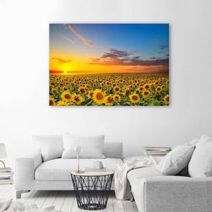 Wandbilder Sonnenblumen Sonnenuntergang 90 x 60 cm