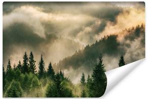 Fototapete WALD IM NEBEL Bäume Natur 3D 135 x 90 x 90 cm