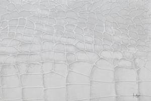 Acrylbild handgemalt White Snake Weiß - Massivholz - Textil - 100 x 75 x 4 cm