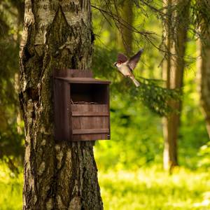 Nichoir d’extérieur pour oiseaux Marron - Bois manufacturé - Métal - 22 x 36 x 21 cm