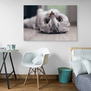 Image Sur Toile CHAT Animal Nature 3D 100 x 70 x 70 cm