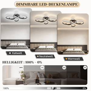 LED Deckenleuchte Alaric Schwarz - 58 x 100 cm