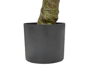 Plante artificielle LAURELE Noir - Vert - Matière plastique - 42 x 160 x 42 cm