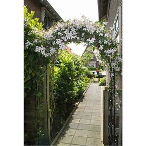 Gartenhaus 3014656 Schwarz - Metall - 38 x 229 x 113 cm