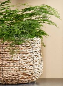 Panier à plantes Avalon (Lot de 3) Métal - Fibres naturelles - Matière plastique