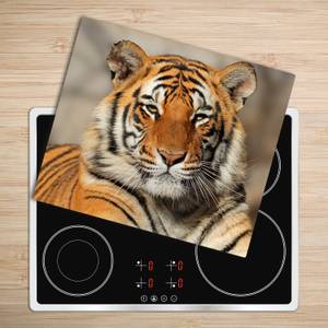 Schneidebrett bengalischer Tiger Orange - Glas - 52 x 1 x 60 cm