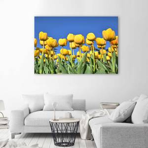 Leinwandbild Tulpen Blumen Natur 100 x 70 cm