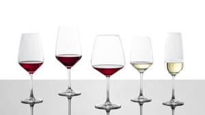 Rotwein- Weißweingläser Taste 12er Set Glas - 1 x 1 x 1 cm