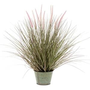 Plante pennisetum artificiel Vert - Matière plastique - Pierre - 17 x 71 x 17 cm