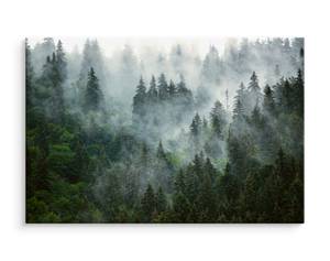 Leinwandbild Wald im Nebel Landschaft 3D 40 x 30 x 30 cm