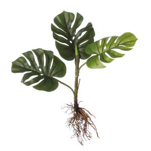 Plante artificielle Monstera-Steckling Vert - Matière plastique - 21 x 12 x 54 cm