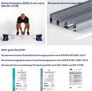 Duschtrennwand GWALAS Silber - Glas - 80 x 140 x 0 cm