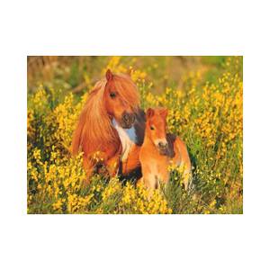 Puzzle Ponys Papier - 23 x 5 x 33 cm