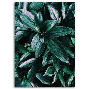 Bilder Grüne Blätter Natur Pflanzen 80 x 120 cm