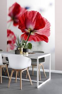 papier peint panoramique coquelicots rou Rouge - Fibres naturelles - Textile - 186 x 279 x 279 cm