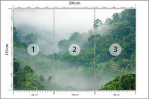 Fototapete TROPENWALD Bäume im Nebel 300 x 210 x 210 cm