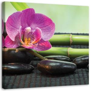 Leinwandbild Spa Zen Orchidee Blumen 50 x 50 cm