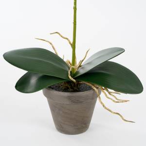 Plante artificielle Orchidée Blanc - Pierre - Textile - 13 x 48 x 13 cm