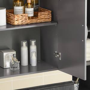 Armoire salle de bain FRG231-DG Gris