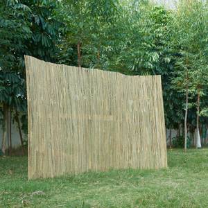 Bambuszaun Baarle 500 x 200 x 500 cm